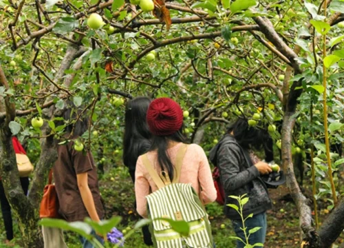 Indahnya Pantai Bali